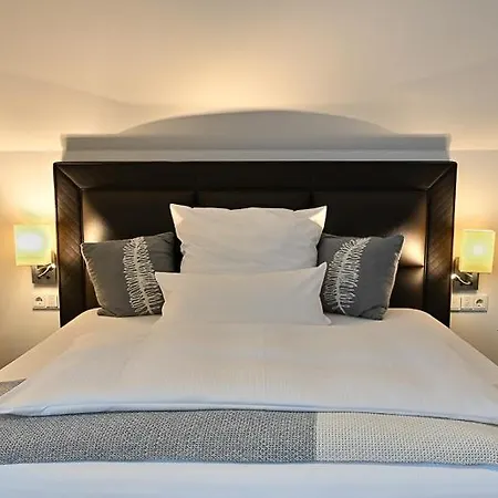 Höll Am Main 4* Rüsselsheim