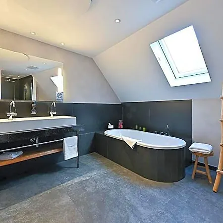 Höll Am Main 4* Rüsselsheim