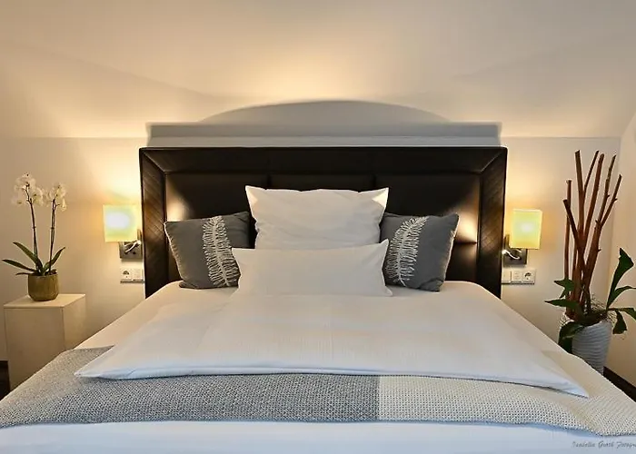 Hoell Am Main 4* Rüsselsheim